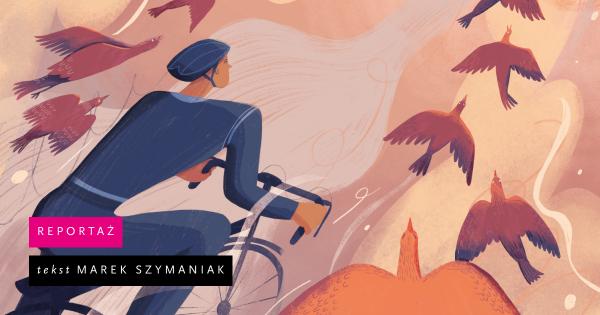 Na rowerze. Polski krajobraz bocznych dróg