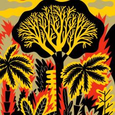 Do kogo należy Amazonia?