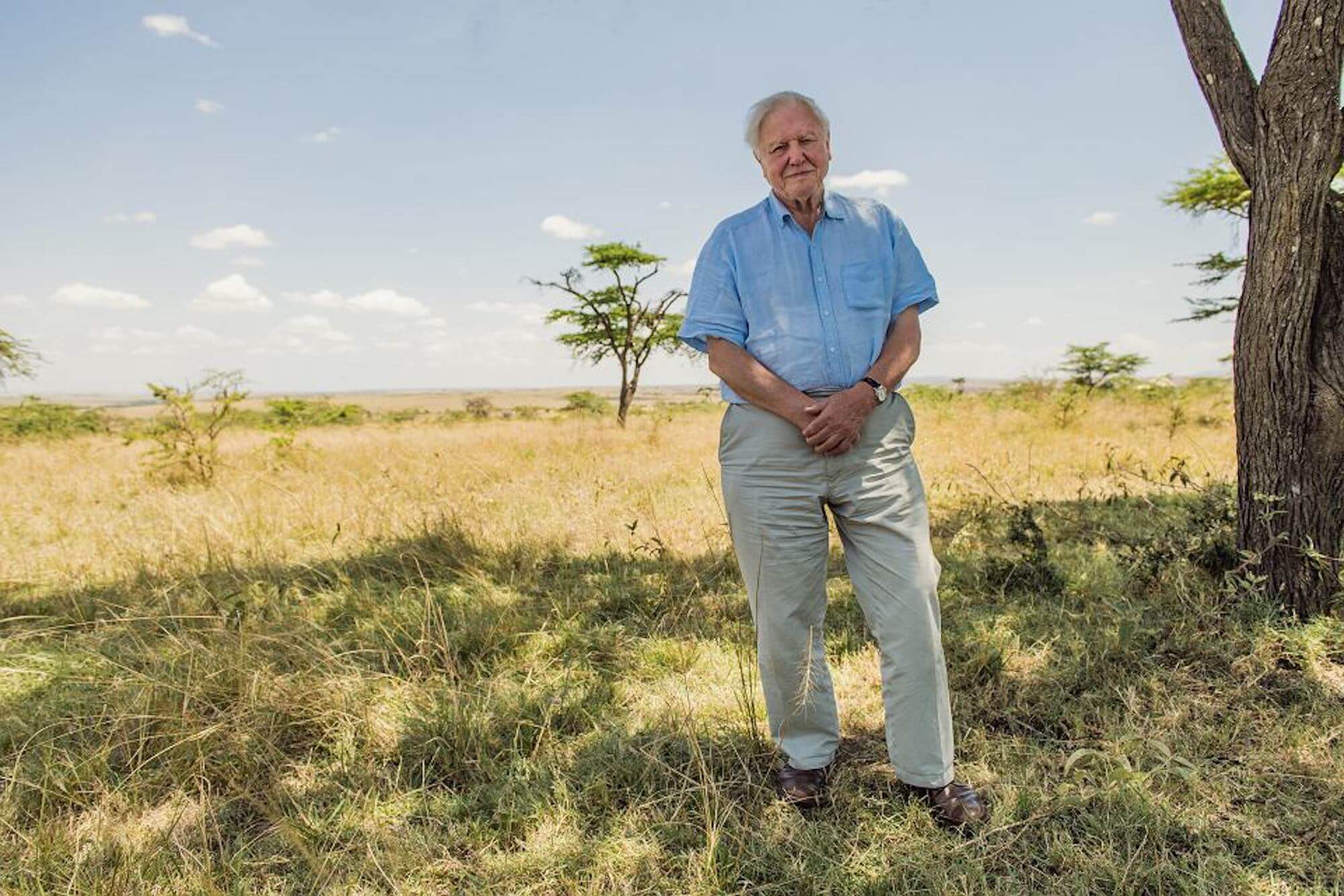 David Attenborough.