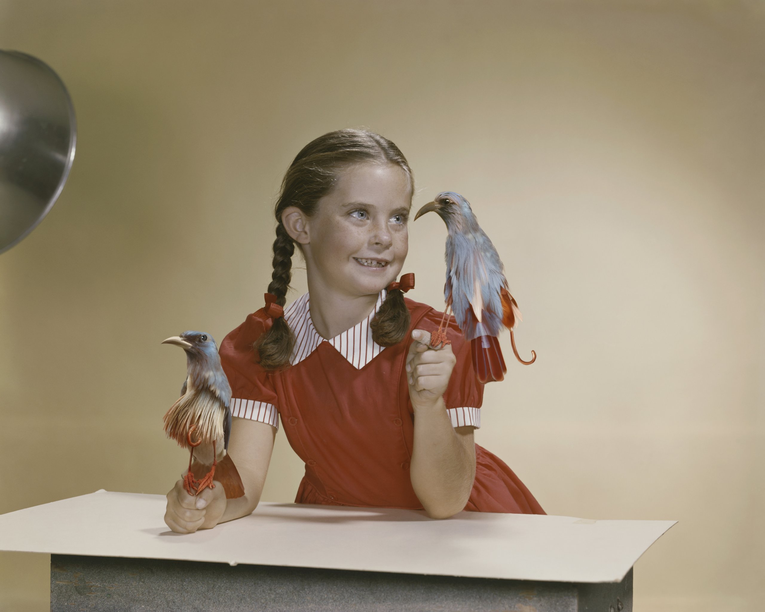 Zdjęcie przedstawia siedzącą przy stole dziewczynkę z warkoczami w czerwonej sukience na minimalistycznym, żółtym tle. Trzyma dwa błękitne, średniej wielkości, fikcyjne ptaki - jungftaki. 