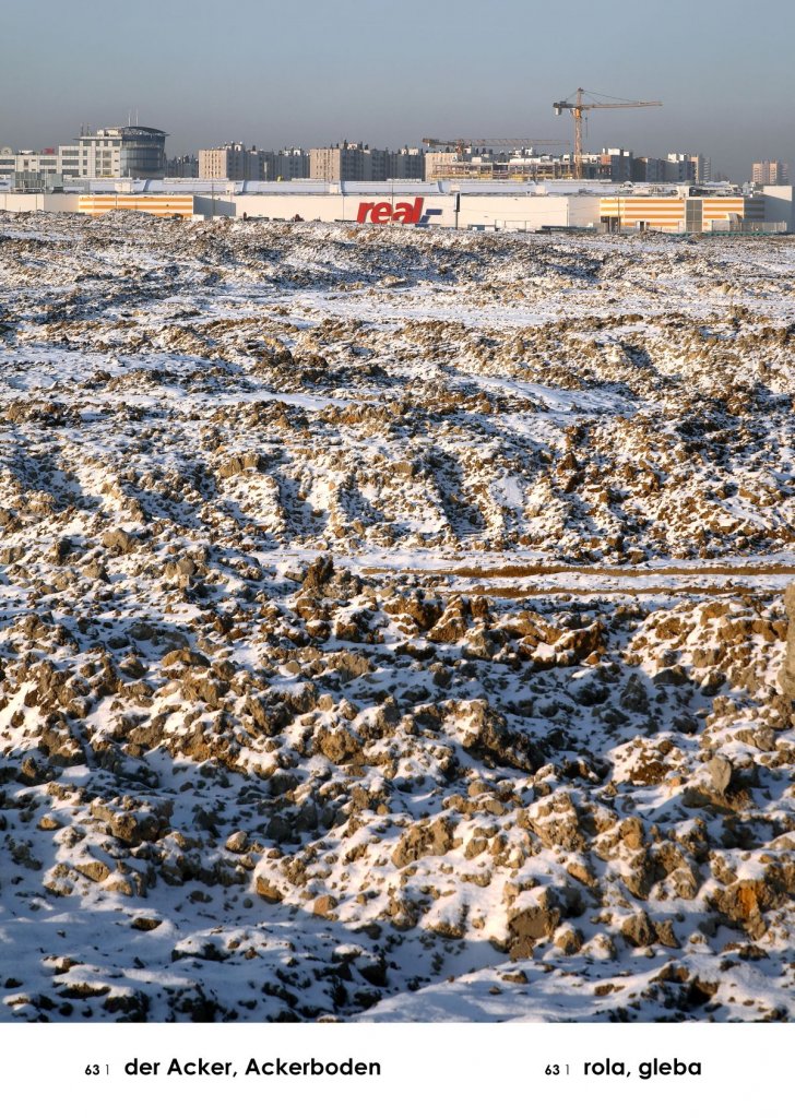 Andrzej Tobis, fotograf i malarz, od 2006 roku realizuje utopijny, totalny projekt osobistego atlasu polskiej rzeczywistości. Zainspirowany NRD-owskim słownikiem obrazkowym z 1954 roku dokonuje jego rekonstrukcji – oryginalne hasła w języku niemieckim i polskim opatruje zdjęciami wykonanymi w czasie podróży po Polsce. Zdjęcie przedstawia zimową glebę a na jej tle sklep Real. Tytuł pracy to Rola, gleba z cyklu A–Z. (Gabloty edukacyjne).