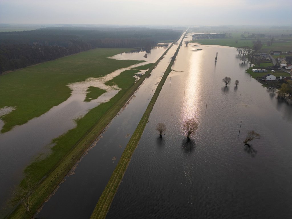 Fotografia lotnicza ukazuje rozległy, zalany teren w okolicach Krosna Odrzańskiego, wykonana 2 marca 2024 roku przez Adriana Wykrotę w ramach cyklu „Jaka piękna katastrofa”. Pośrodku kadru widać taflę wody, w której odbija się światło zachodzącego słońca, tworząc złocistą smugę prowadzącą aż po horyzont. Z wody wystają korony kilku drzew, a po bokach widoczne są wąskie pasy zielonej ziemi oraz zabudowania w oddali.