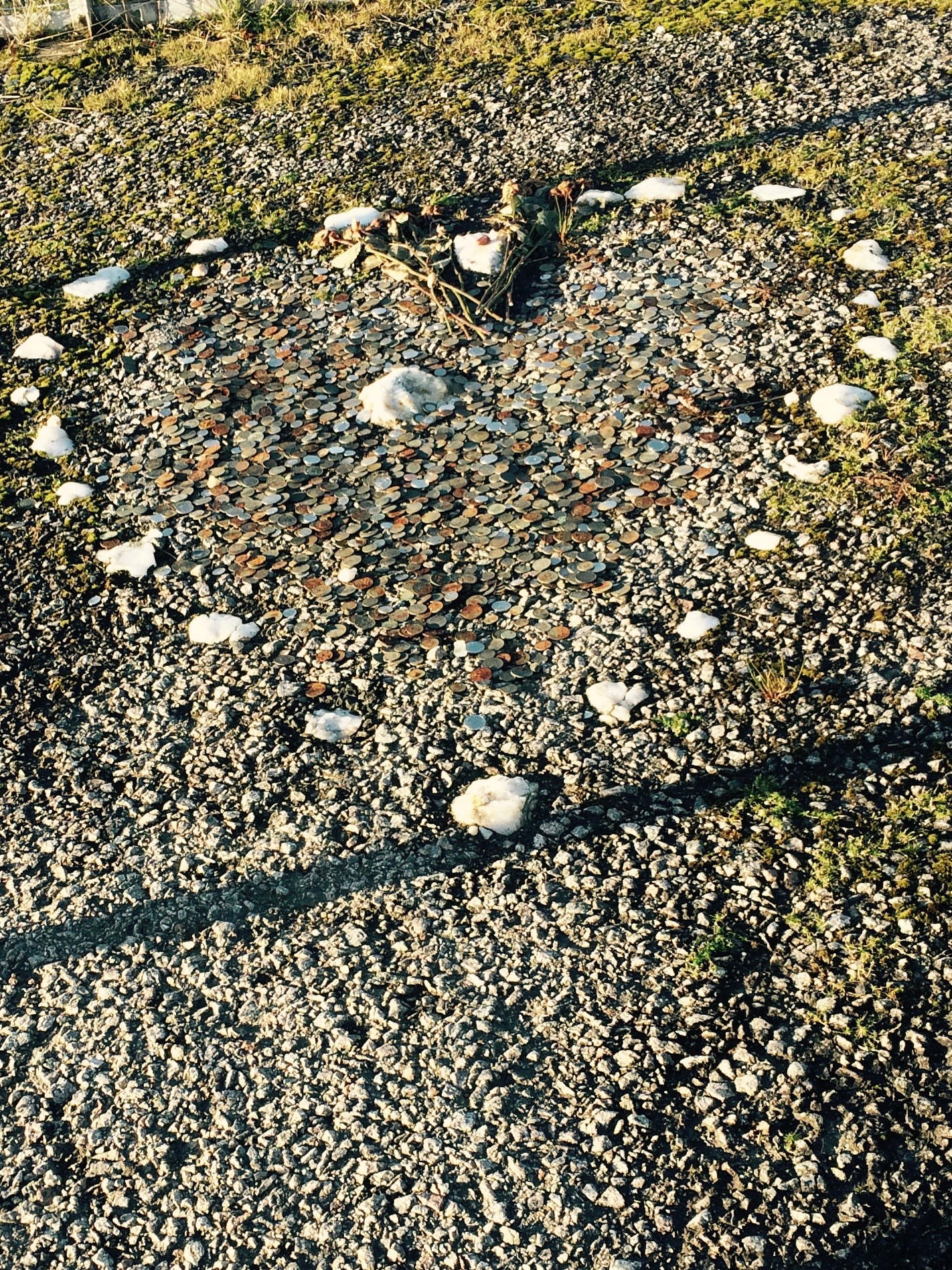 Wędrowcy, ostatni szkoccy nomadzi. Fragment książki „Ziemia jednorożca. Podróż po Szkocji”