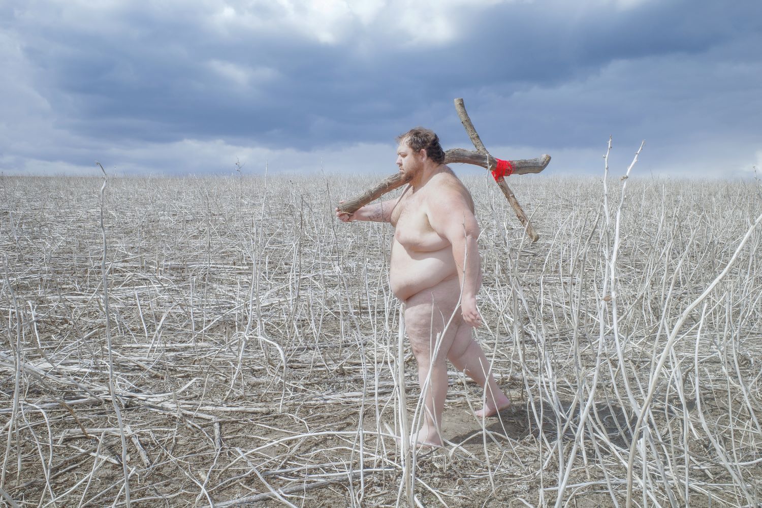 Fotografia artystyczna autorstwa Artema Humilevskiego. Zdjęcie przedstawia rozległe, puste pole pokryte suchymi łodygami roślin. Krajobraz jest zimowy lub późnojesienny. Nad polem rozciąga się ciężkie, pochmurne niebo. Fotografia utrzymana jest w chłodnych barwach i należy do cyklu „Korzenie”, poświęconego tożsamości i doświadczeniu wojny w Ukrainie..