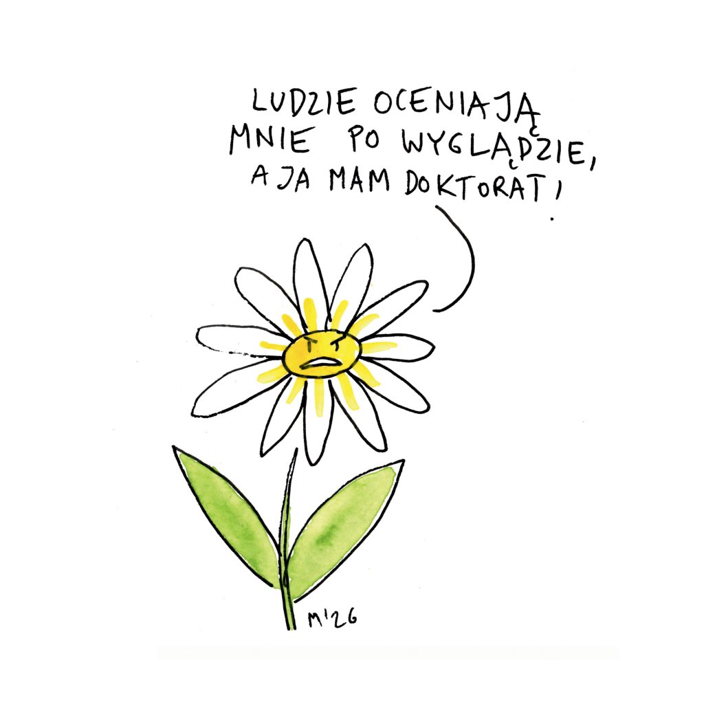 Rysunkowy kwiat z białymi płatkami i żółtym środkiem, który ma zirytowaną minę. Nad kwiatem napis: „Ludzie oceniają mnie po wyglądzie, a ja mam doktorat!”. (Ilustracja: Michał Rzecznik)